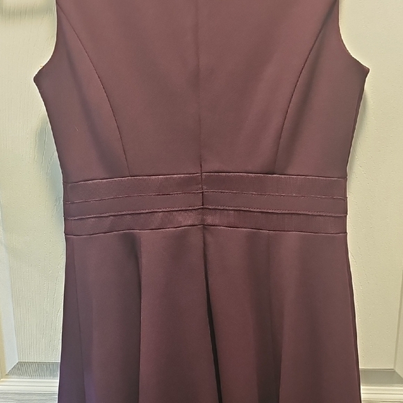 Calvin Klein Sleeveless, Plum Dress, Fitted Bodice, Flare Skirt, Size 6P - Picture 6 of 6